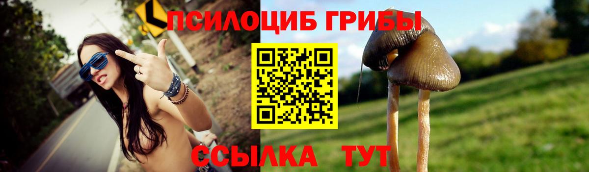 Псилоцибиновые грибы мухоморы  Вход с VPN  Галлюциногенные грибы Cubensis  Гатчина 
